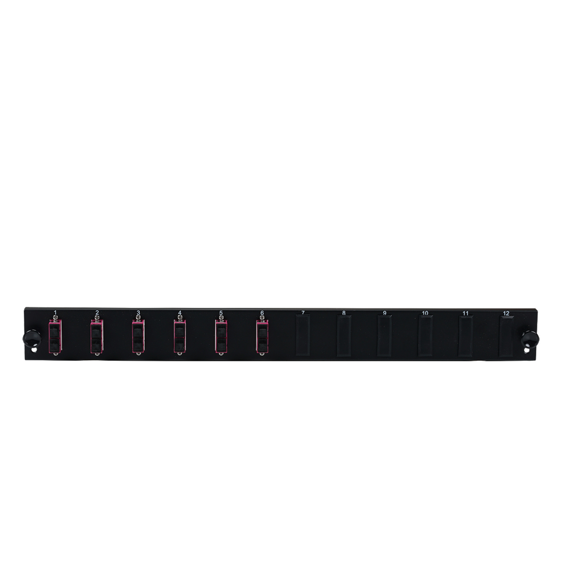 Equiped 12 Port Front Panel with 6xSC Duplex adapter OM4 vertical, grey