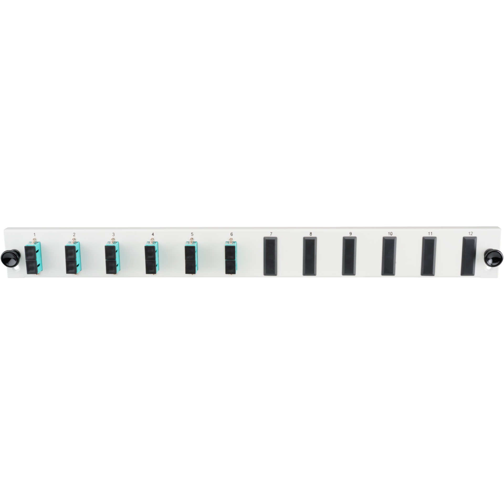 Bestückte 12 Port Frontblende mit 6 x SC Duplex Kupplung OM4 vertikal, grau