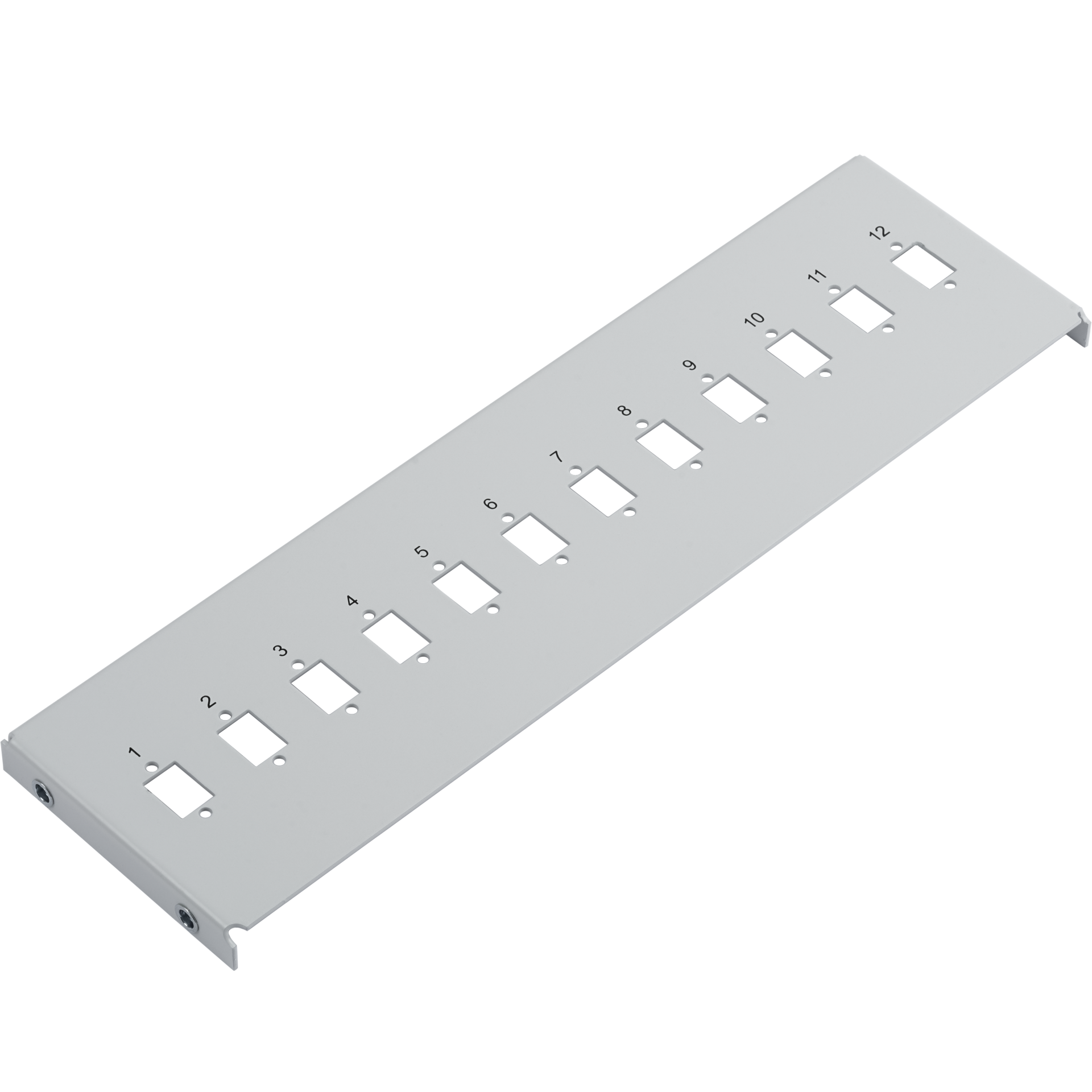 Distribution Board 12 SC-Simplex for mini wall-mounted distributor 53605.1V2