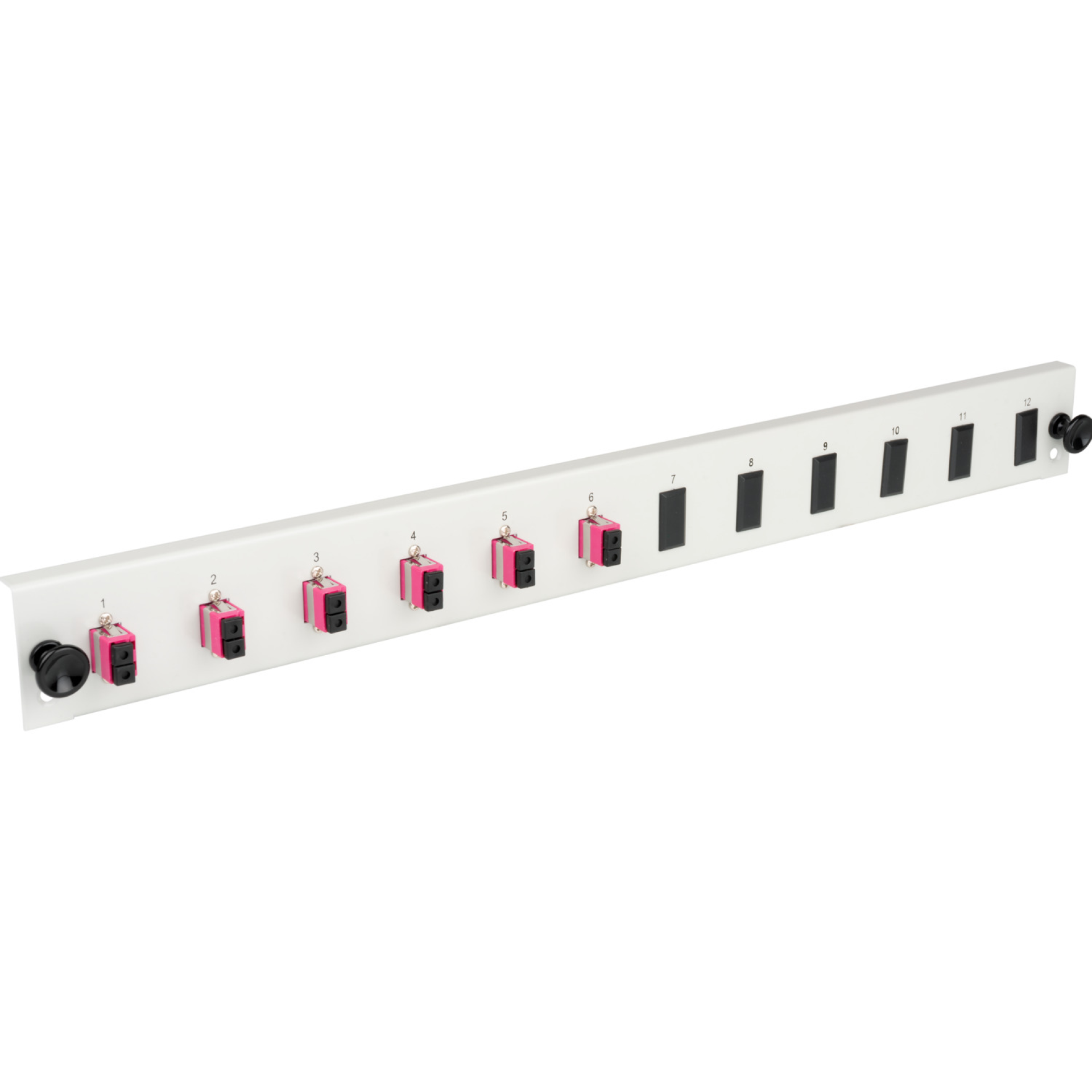 Bestückte 12 Port Frontblende mit 6 x LC Duplex Kupplung OS2 vertikal, grau