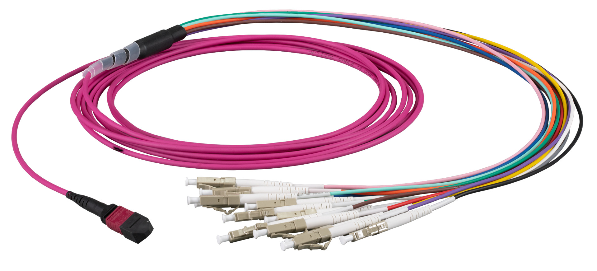 MTP®-F/LC 12-fiber patch cable OM4, LSZH erica-violet, 2m