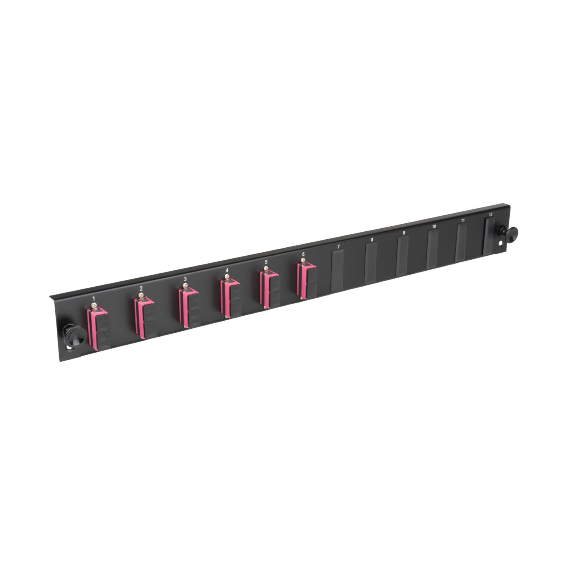 Bestückte 12 Port Frontblende mit 6 x SC Duplex Kupplung OS2 vertikal, schwarz