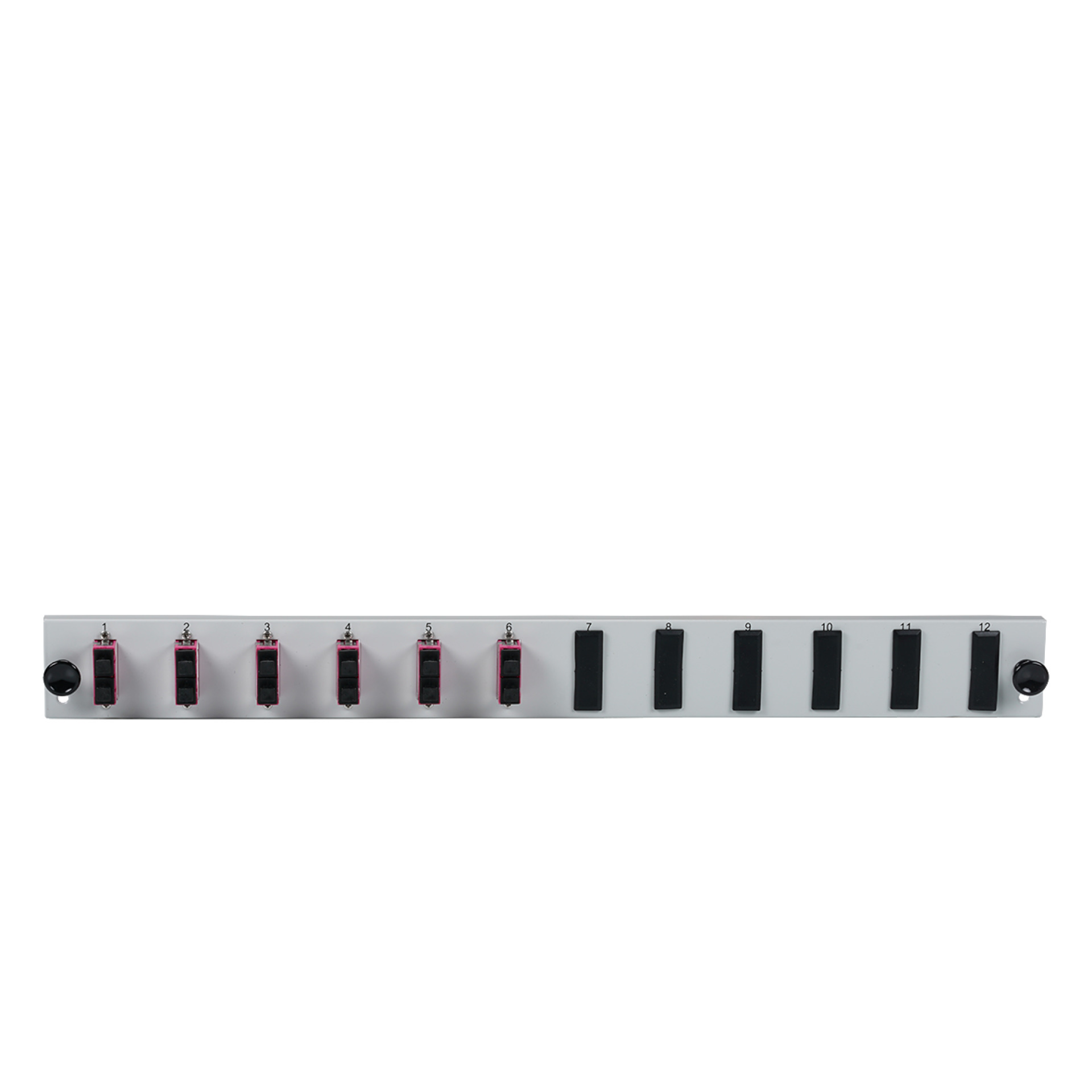 Bestückte 12 Port Frontblende mit 6 x SC Duplex Kupplung OM4 vertikal, grau