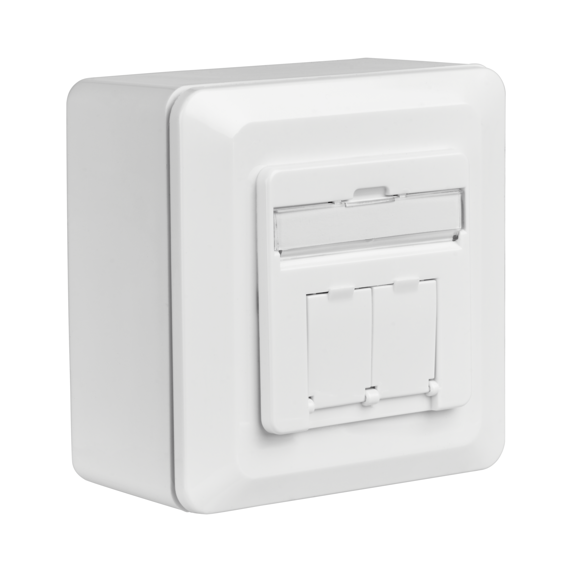 Data outlet Cat.6A 500MHz, Surface, 2xRJ45, RAL9010