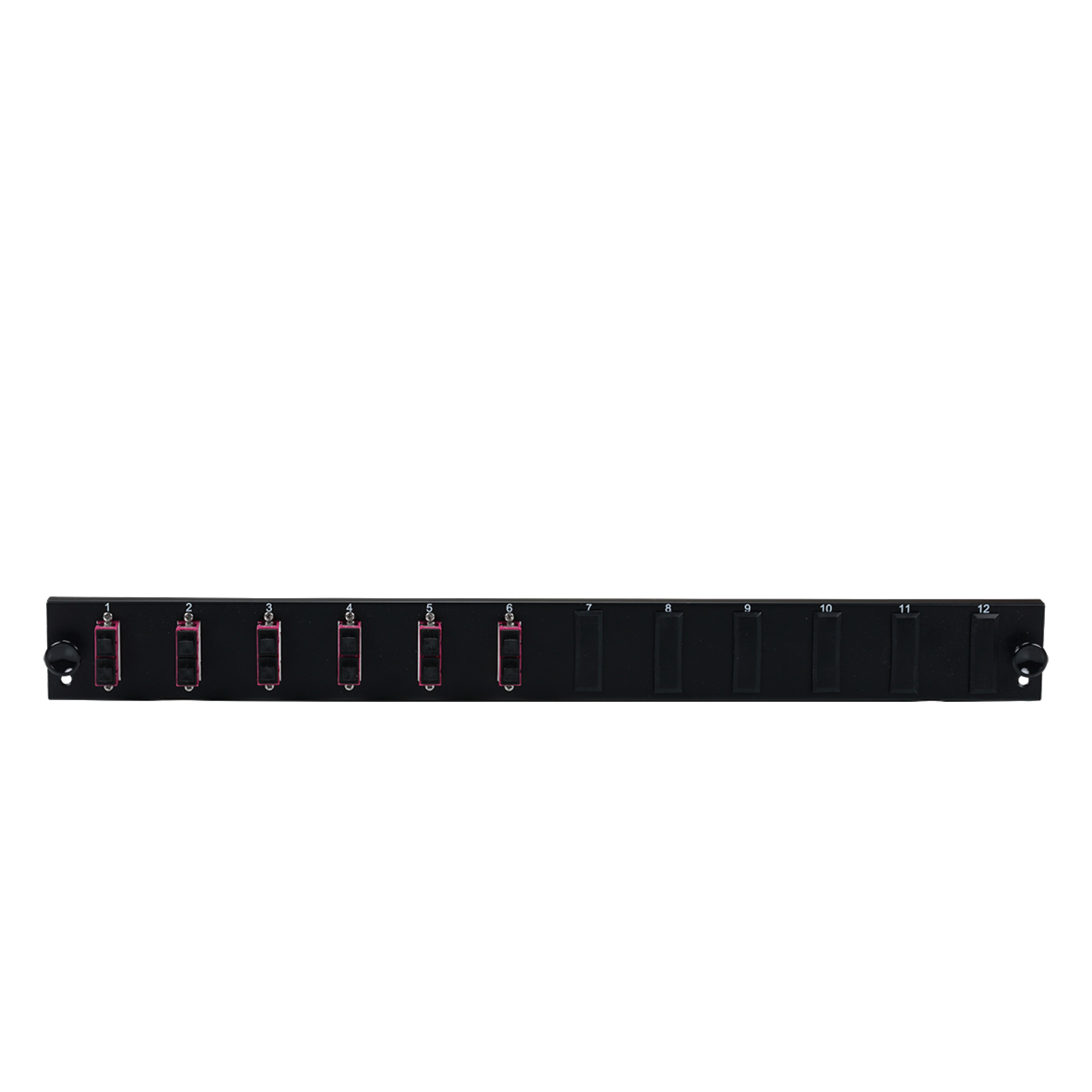 Equiped 12 Port Front Panel with 6xSC Duplex adapter OM4, vertical, black