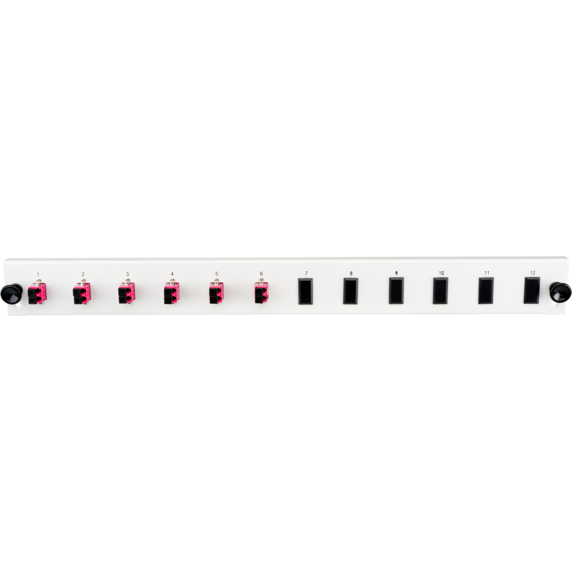 Bestückte 12 Port Frontblende mit 6 x LC Duplex Kupplung OS2 vertikal, grau