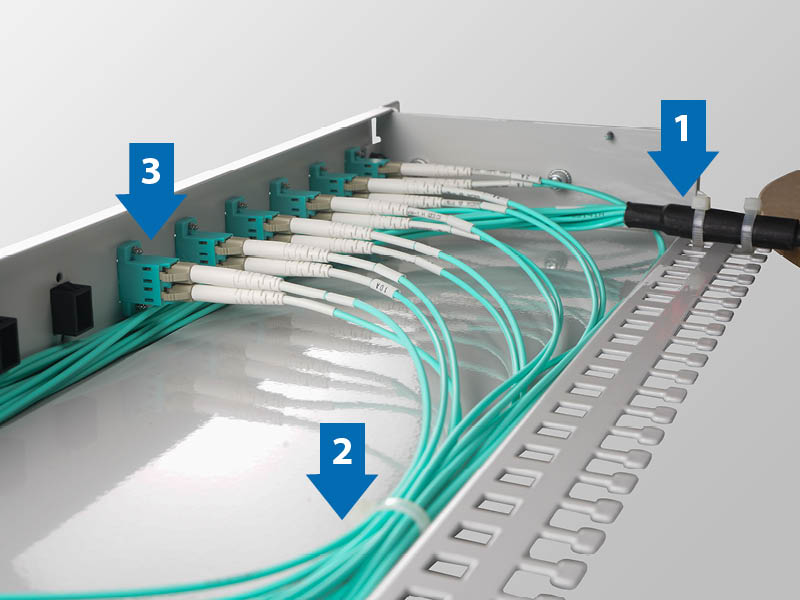 Breakoutbox mit installiertem Trunkkabel