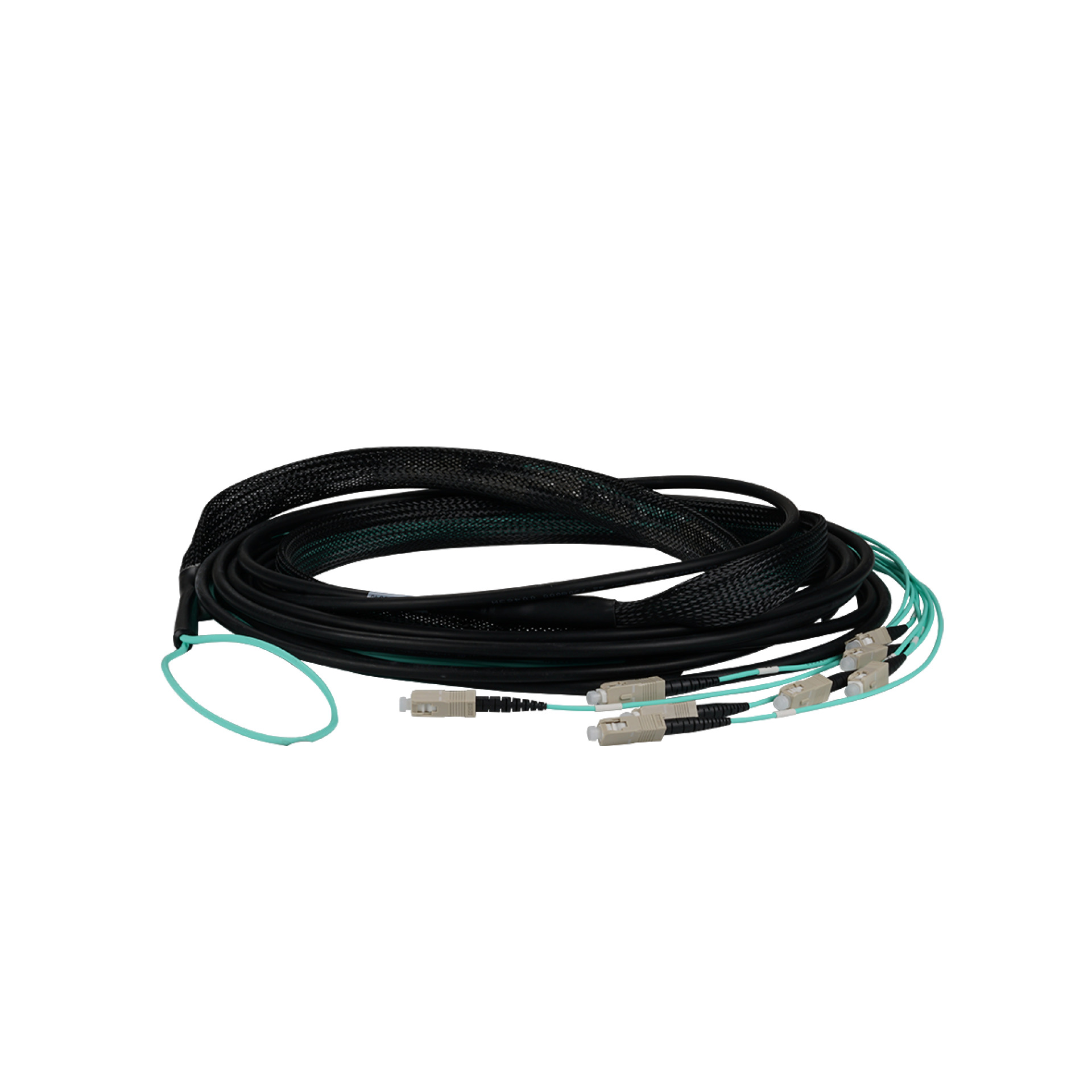 Trunkkabel U-DQ(ZN)BH 12G 50/125, SC/SC,OM3 40m