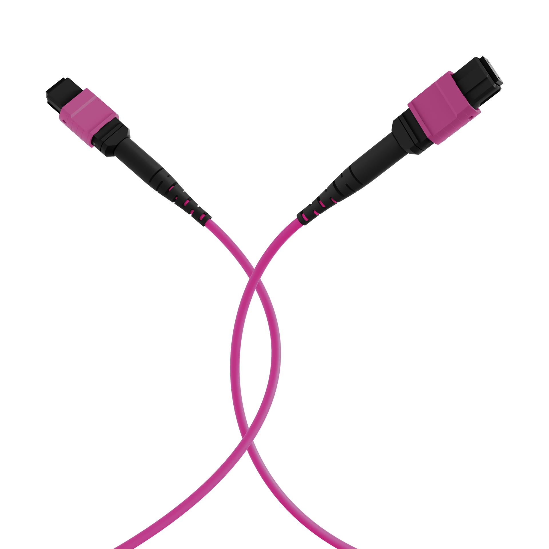 MTP®(F)-MTP®(F) Patch cable OM4 48 fibers Typ A LSZH erica-violet 30m
