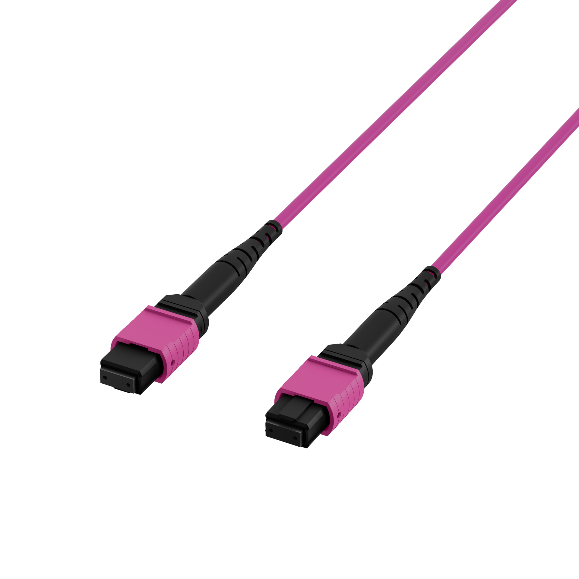MTP®(F)-MTP®(F) Patchkabel OM4 36 Fasern Typ A LSZH erika-violett 20m