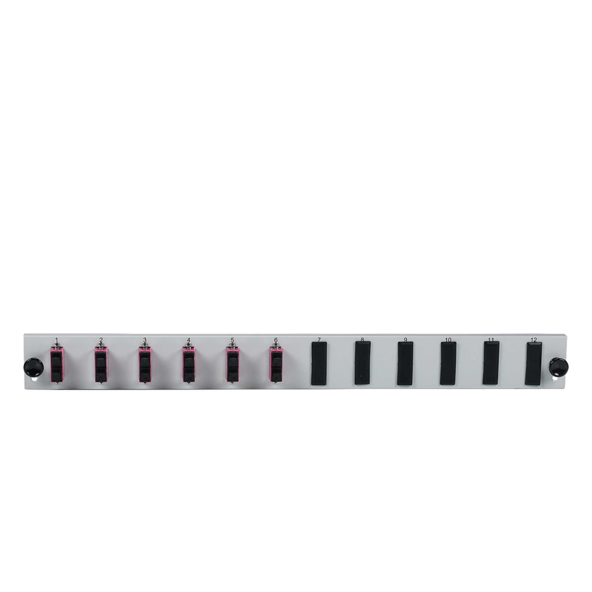 Equiped 12 Port Front Panel with 6xSC Duplex adapter OM4, vertical, black