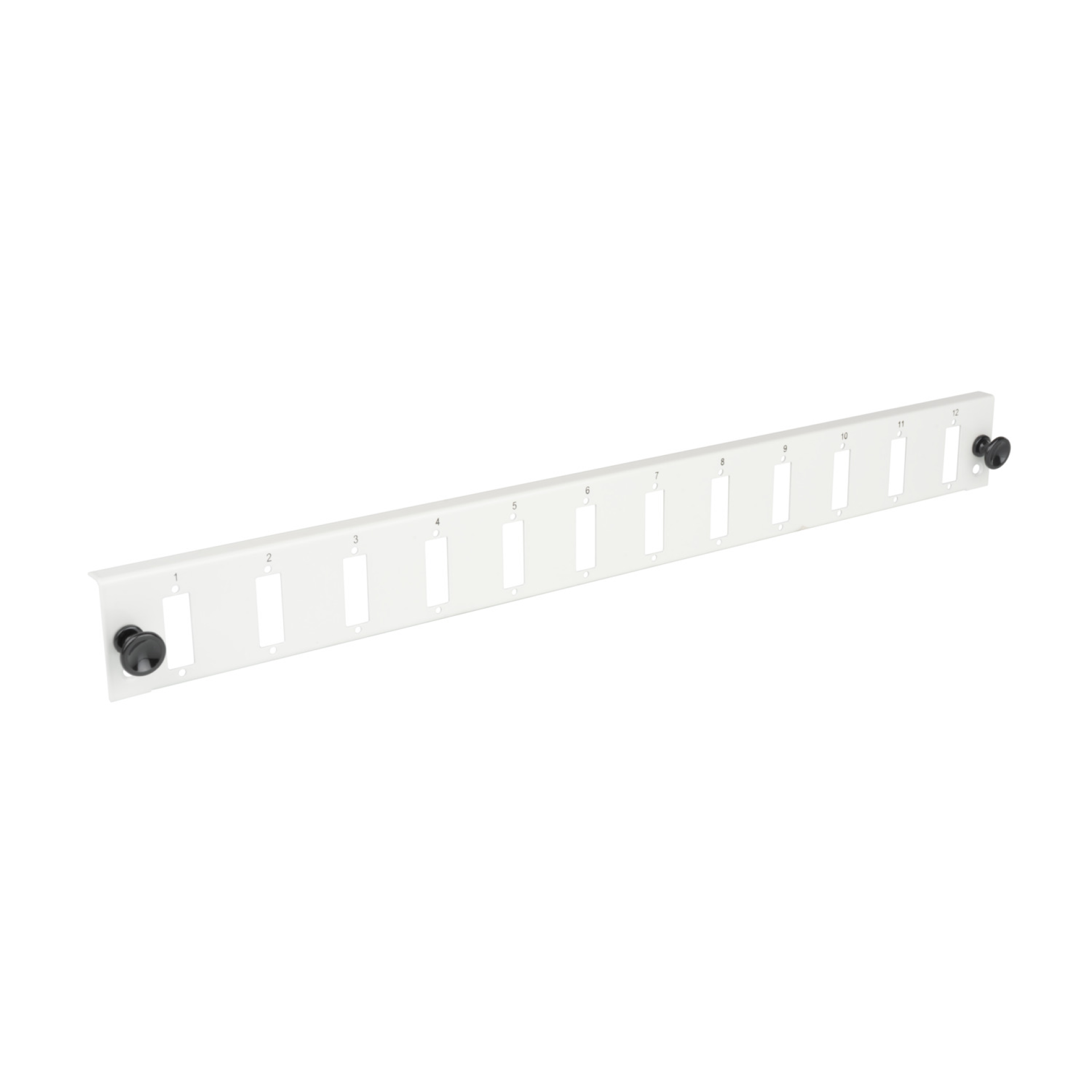 Equipped Front Panel with 12 x SC Duplex Adapter OM3 vertical, grey
