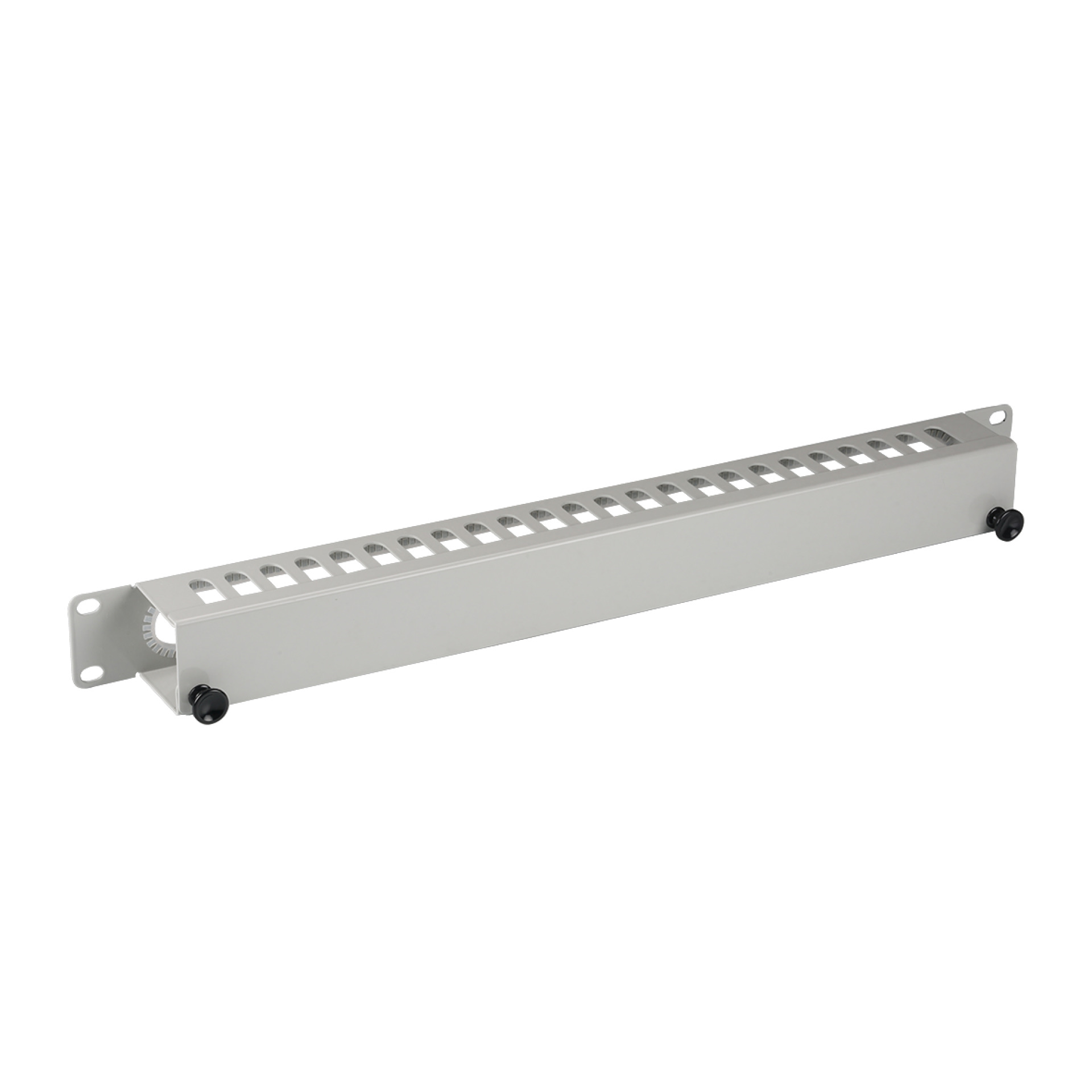 19" 1U Cable Routing Panel with Cover, RAL9005