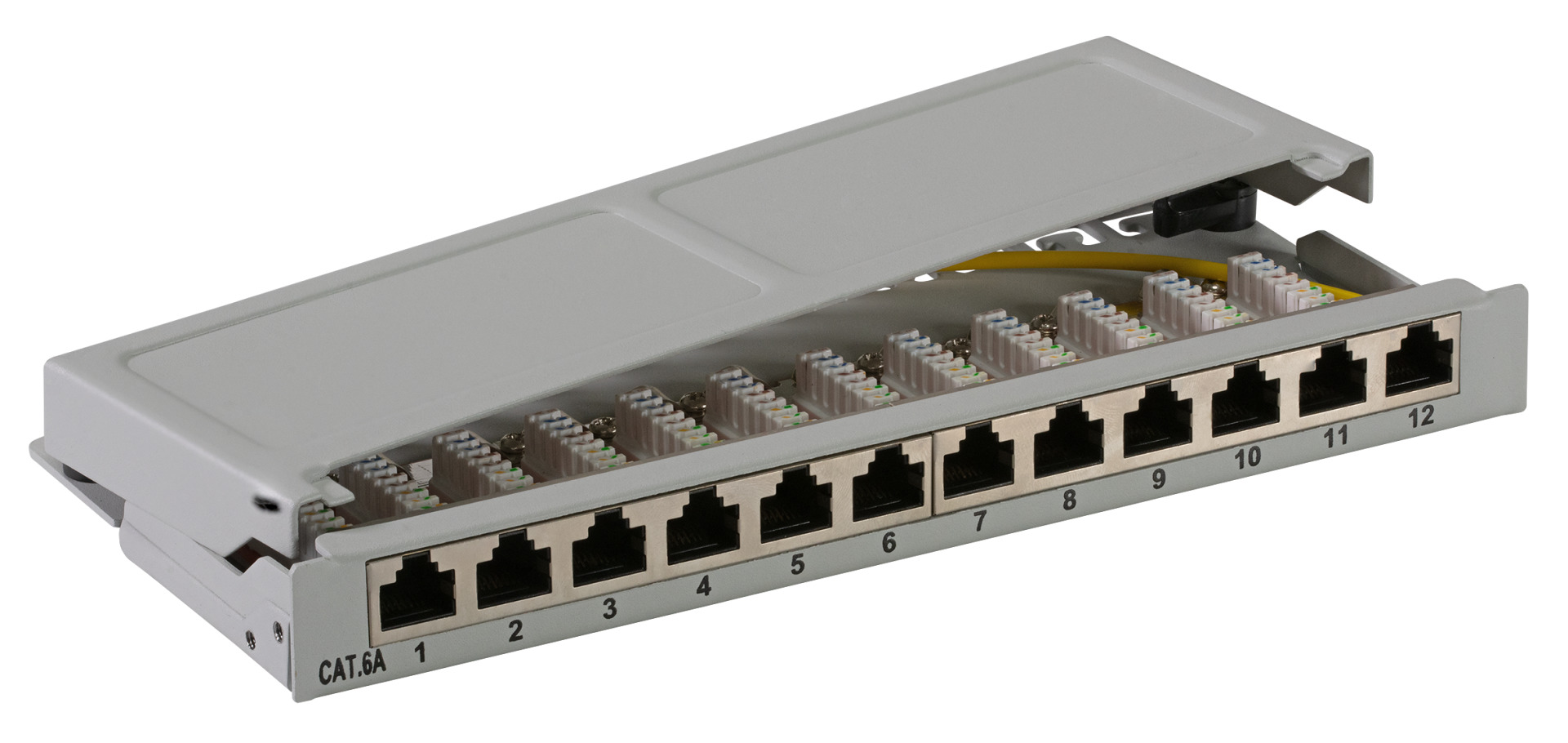 Mini-Patchpanel STP 12xRJ45 Cat.6A, 10“ 0,5HE, RAL9005 schwarz